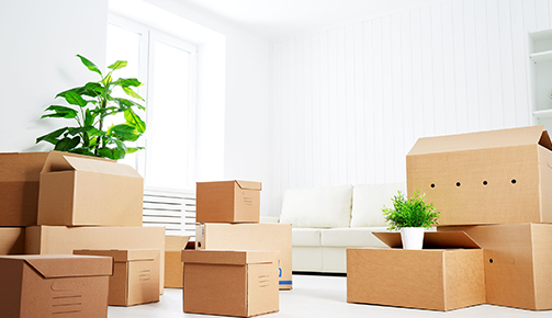 home moving services